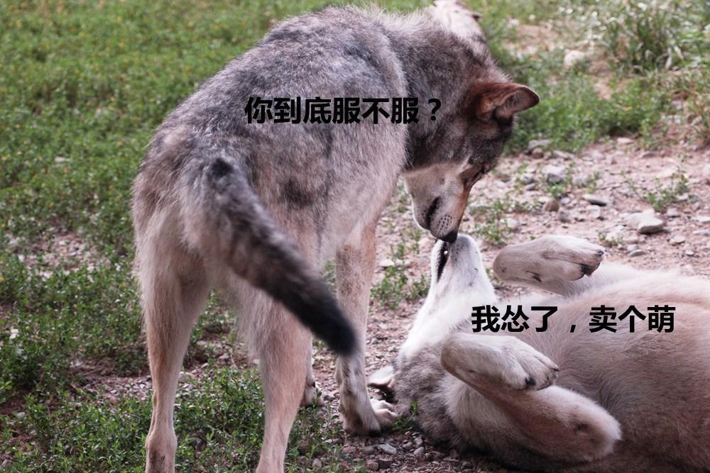 不打骂儿女的教育方式是否科学、先进?配图